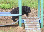  Bulle de lage baston sur la passerelle