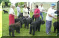 Melle Maquin, M. Cartigny, Mme et Melle Rouchit, Mme Turpeau, M. Rouchit, M. Chibrac