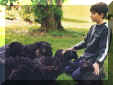 joris avec les chiots,morane et iris