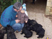 Ethan et nos chiots  noel 2007