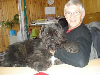 Norton de Lage Baston bouvier des Flandres de 8 mois et son matre. 