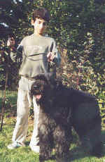 joris et rickson